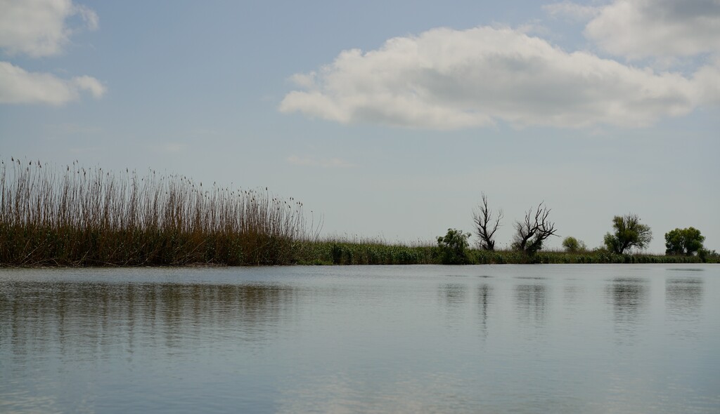 Ambientní tremologie